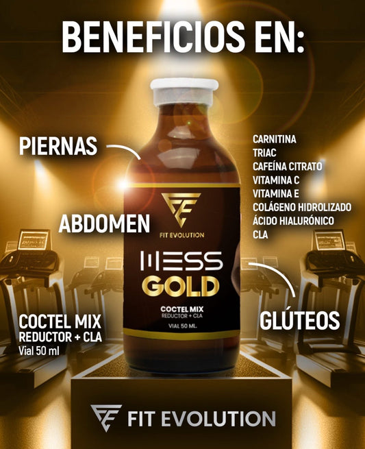 MESSGOLD - FITEVOLUTION